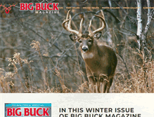 Tablet Screenshot of bigbuckmag.com